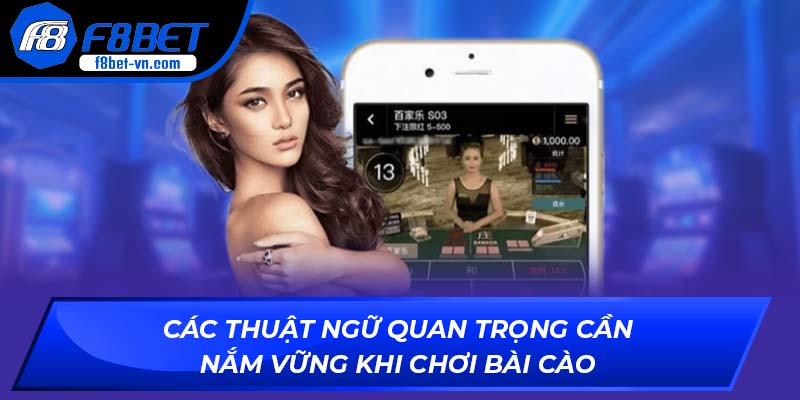 Các thuật ngữ quan trọng cần nắm vững khi chơi bài cào