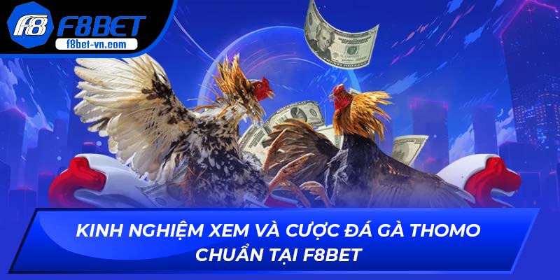 Kinh nghiệm xem đá gà Thomo trực tuyến tại F8BET