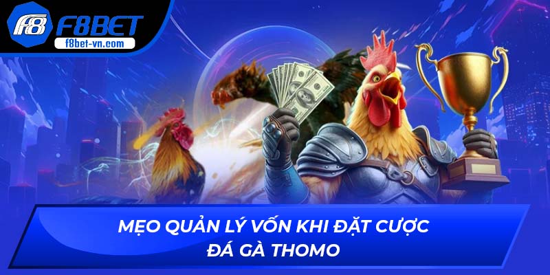 Mẹo quản lý vốn khi đặt cược đá gà Thomo
