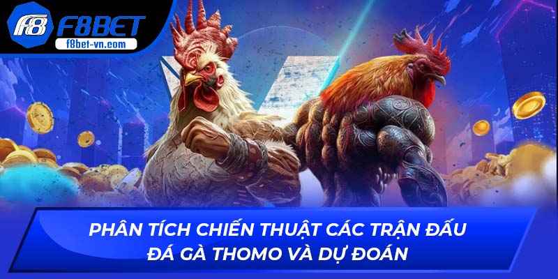 Phân tích chiến thuật các trận đấu đá gà Thomo